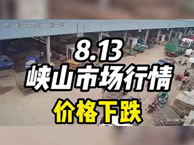8月13日 峽山生姜交易實況（價格下跌） (491播放)