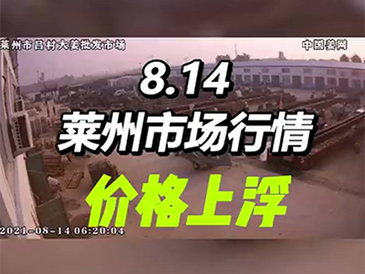 8月14日 萊州生姜交易實況（穩中稍快） (854播放)