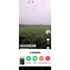 大姜配送