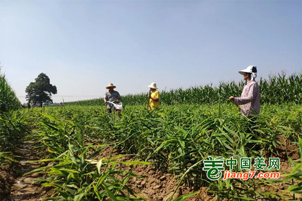 未標(biāo)題-1