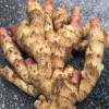 大量供應