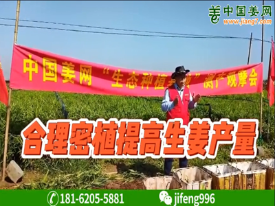 合理密植提高生姜產量 ()