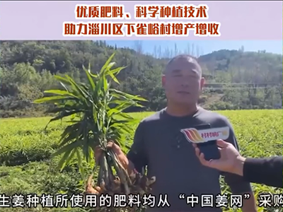 賈書記種姜記 ()