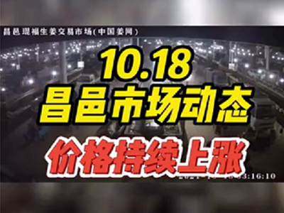 10月18日 昌邑生姜交易實況（價格持續(xù)上漲） ()