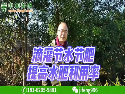 滴灌節水節肥，提高水肥利用率 ()