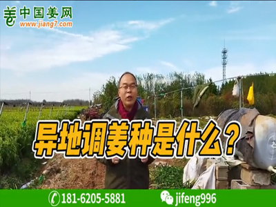 如何異地調姜種 ()