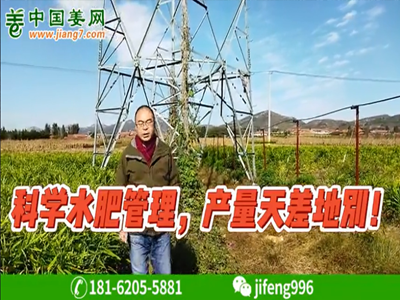 科學水肥管理，產量天差地別 ()