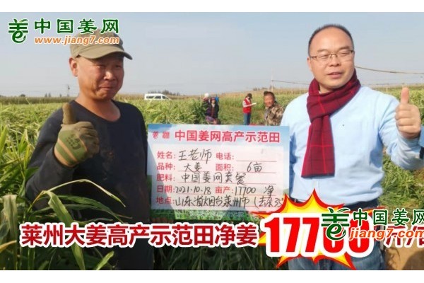 山東萊州生態(tài)生姜基地測產(chǎn)簡記 ()