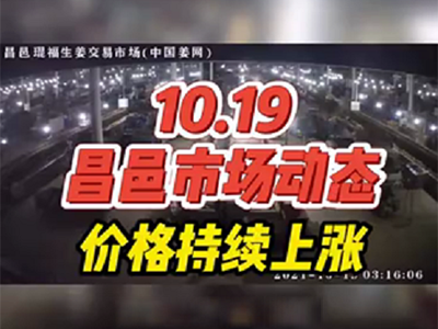 10月19日 昌邑生姜交易實況（價格繼續(xù)上漲） ()