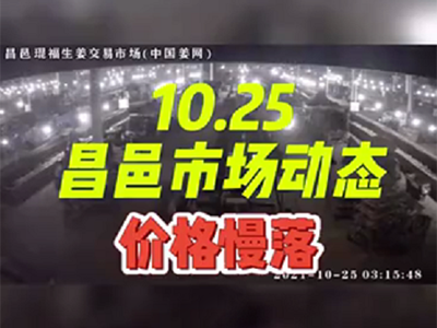 10月25日 昌邑生姜交易實況（價格慢落） (932播放)