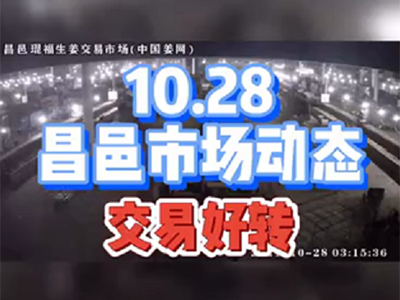 10月28日 昌邑生姜交易實況（交易好轉） (1194播放)