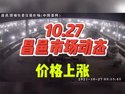 10月27日 昌邑生姜交易實況（價格上漲） (1130播放)