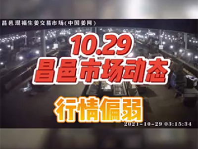 10月29日 昌邑生姜交易實況（行情偏弱） (1226播放)