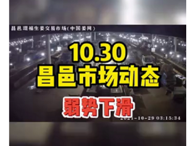 10月30日 昌邑生姜交易實況（行情弱勢下滑） (886播放)