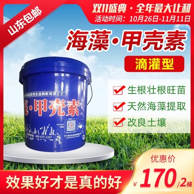 甲殼素.webp
