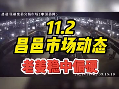 11月2日 昌邑生姜交易實況（穩(wěn)中偏硬） (1212播放)