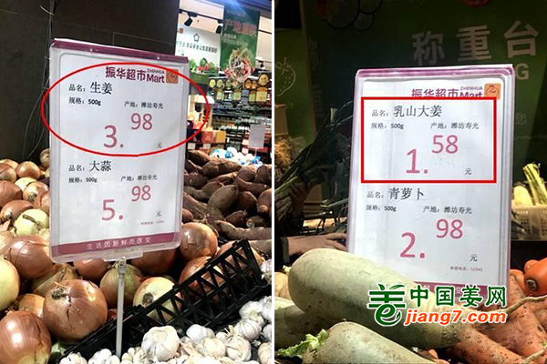 煙臺(tái)芝罘區(qū)：生姜賣出白菜價(jià) ()