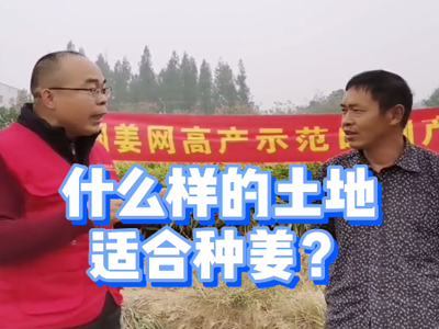 什么樣的土地適合種姜？ ()