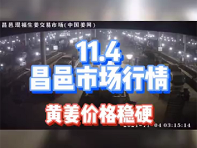 11月4日 昌邑生姜交易實(shí)況（黃姜價(jià)格穩(wěn)硬） (856播放)