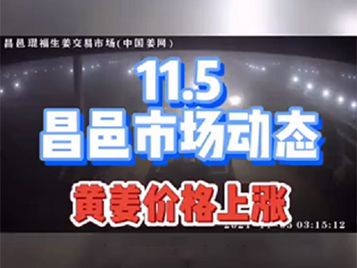 11月5日 昌邑生姜交易實(shí)況（黃姜價(jià)格上漲） (994播放)