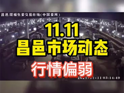 11月11日 昌邑生姜交易實況（行情偏弱） (970播放)