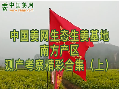 2021年生態生姜基地測產南方產區-精彩合集（上） (790播放)