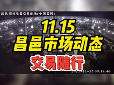 11月15日 昌邑生姜交易實(shí)況（隨行交易） (1410播放)