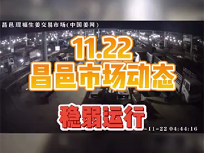 11月22日 昌邑生姜交易實(shí)況（行情穩(wěn)弱） (1149播放)