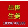 出售生姜