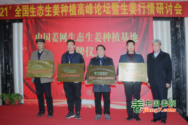 2021’全國(guó)生態(tài)生姜種植高峰論壇——表彰篇 ()