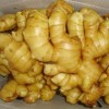 大量供應(yīng)