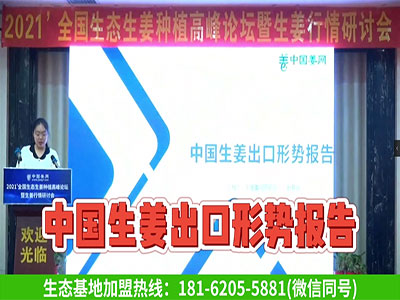 中國生姜出口形勢報告