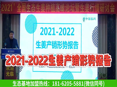 2021-2022生姜產銷形勢報告