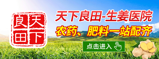 網(wǎng)店