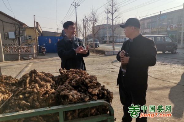 生態(tài)基地回訪側(cè)記--萊蕪、青州篇 ()