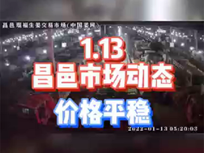 1月13日 昌邑生姜交易實(shí)況（價(jià)格平穩(wěn)） (1534播放)