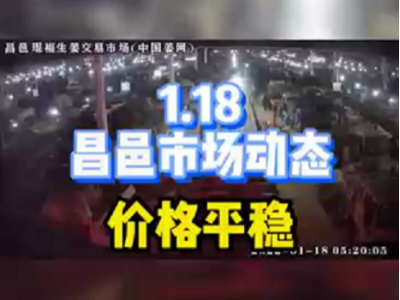 1月18日 昌邑生姜交易實況（價格平穩(wěn)） (1391播放)