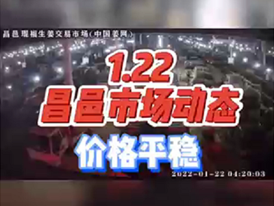 1月22日 昌邑生姜交易實況（價格平穩(wěn)） (1405播放)