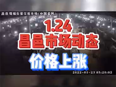 1月24日 昌邑生姜交易實況（價格上漲） (1358播放)