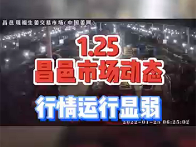1月25日 昌邑生姜交易實況（行情顯弱） (1612播放)