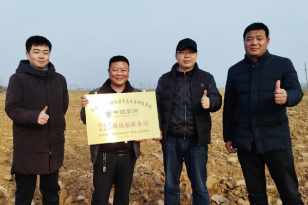 中國姜網(wǎng)生態(tài)基地調(diào)研--河北篇 ()