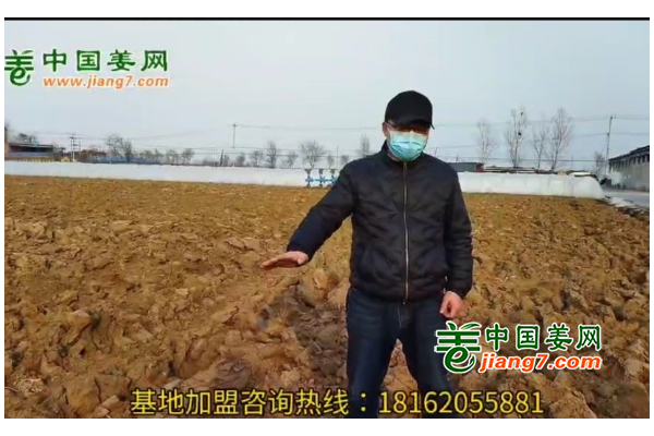 中國姜網(wǎng)新生態(tài)基地調(diào)研--河北（邢臺(tái)、石家莊)篇 ()