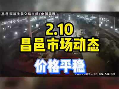 2月10日 昌邑生姜交易實況（價格平穩） (1444播放)