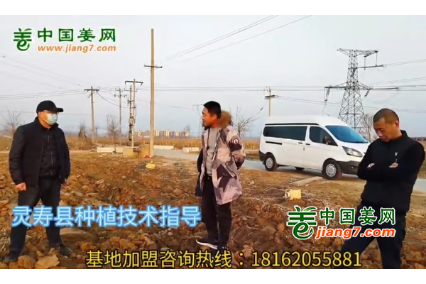 中國姜網(wǎng)新生態(tài)基地調(diào)研--河北（靈壽、行唐)篇 ()