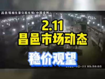 2月11日 昌邑生姜交易實況（價穩觀望） (1639播放)