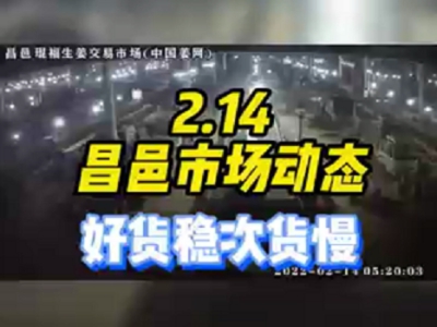 2月14日 昌邑生姜交易實況（好穩孬慢） (1302播放)