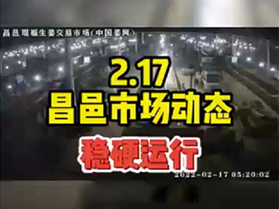 2月17日 昌邑生姜交易實況（穩硬運行） (1575播放)