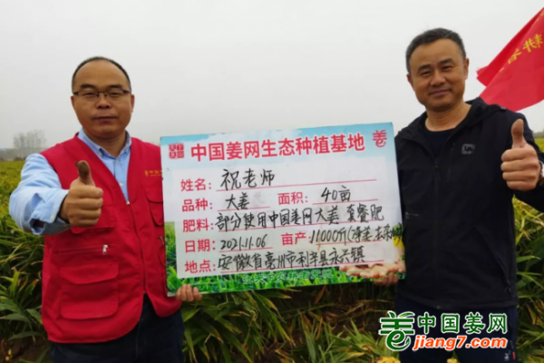中國姜網(wǎng)生態(tài)基地調(diào)研指導(dǎo)--安徽（亳州、阜陽) ()