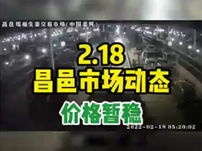2月18日 昌邑生姜交易實況（價格暫穩） (1633播放)