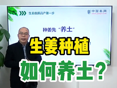 生姜種植如何養(yǎng)土？ (1394播放)